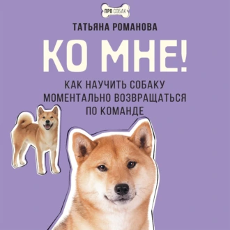 02.png