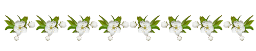 0_125f5a_717c0eff_XL.png