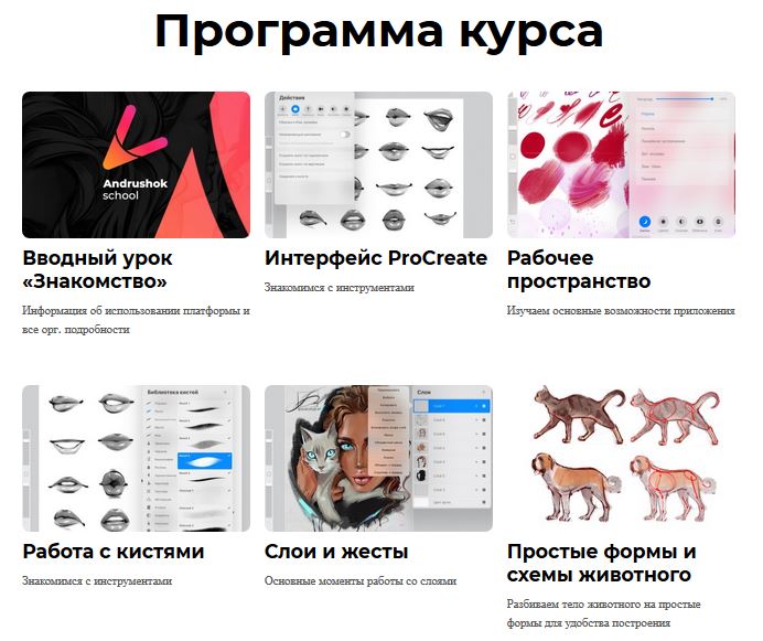1.JPG