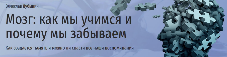 10854.jpg