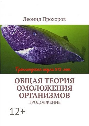 12.png