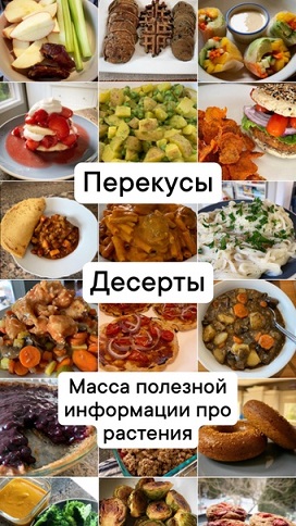 1709372948.jpg