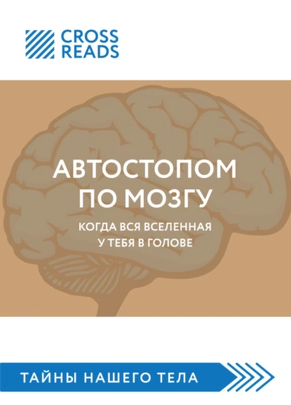 19.png