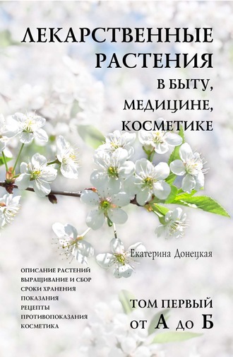 1т.jpg