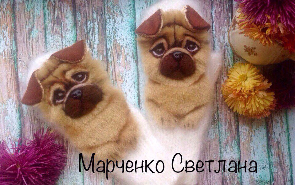 20143943.jpg
