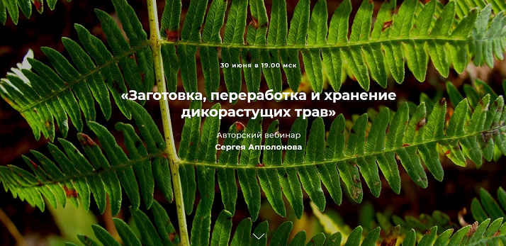 2021-06-30_23-26-04.png