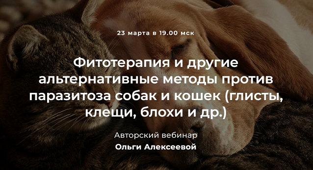 2022-03-23_12-54-36.png