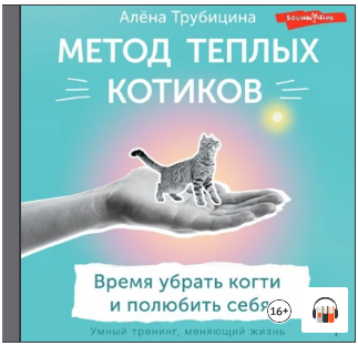 2023-06-05_13-40-34.png