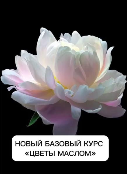2023-08-07_09-30-02.jpg