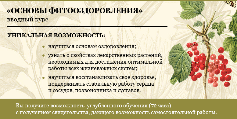 2025-01-12_235331.png