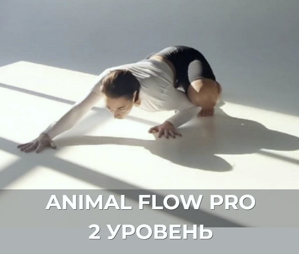 2025-03-28_09-03-41.png
