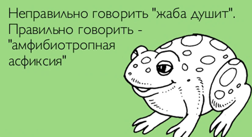 2d2b726a2490a6ebbcfdc7e8fbpq.jpg