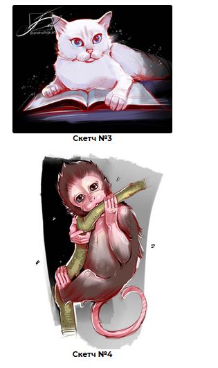 3.JPG