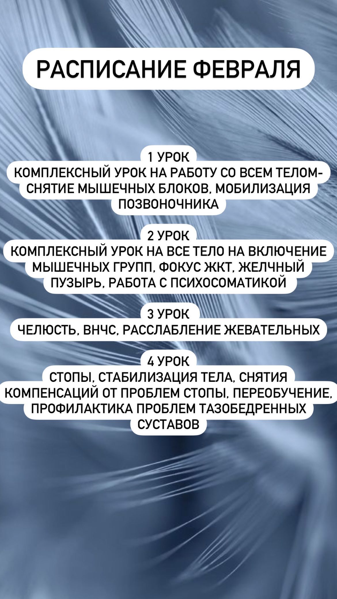 328504870_694432845715549_3640094674142076957_n.jpg