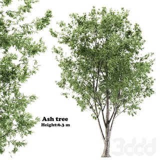 3441653.60a6add86c1cd.jpg
