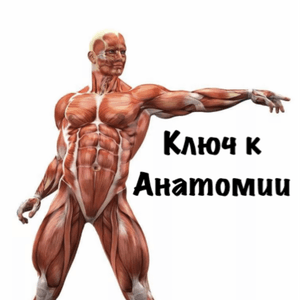 42b7b9.png