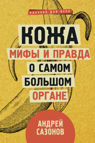 43610898-andrey-sazonov-kozha-mify-i-pravda-o-samom-bolshom-organe.jpg
