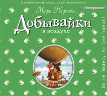 43641663-meri-norton-dobyvayki-v-vozduhe-43641663.jpg