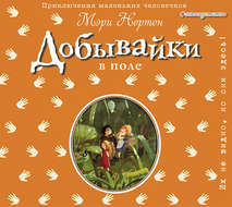 43645237-meri-norton-dobyvayki-v-pole-43645237.jpg