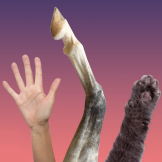 464564989.png