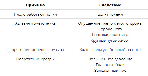 4q.jpg