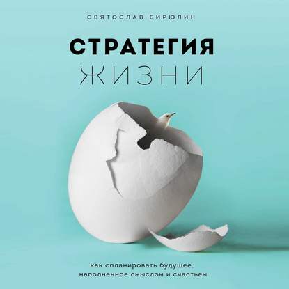 51564902-svyatoslav-birulin-strategiya-zhizni-kak-splanirovat-buduschee-na-51564902.jpg