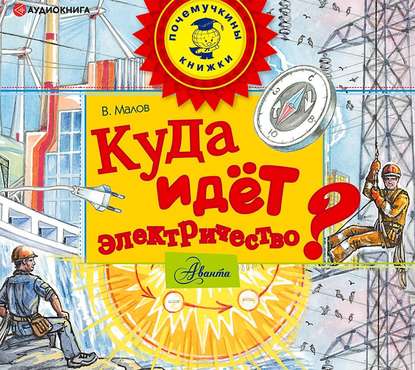 53966146-vladimir-malov-kuda-idet-elektrichestvo-53966146.jpg