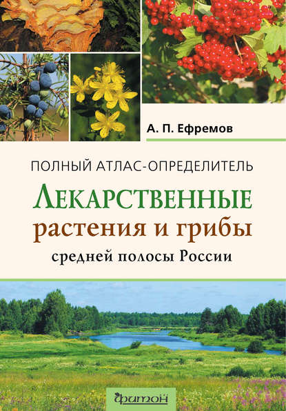 54069177-a-p-efremov-7356456-lekarstvennye-rasteniya-i-griby-sredney-polos-54069177.jpg