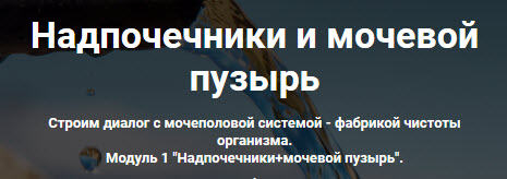 5q.jpg