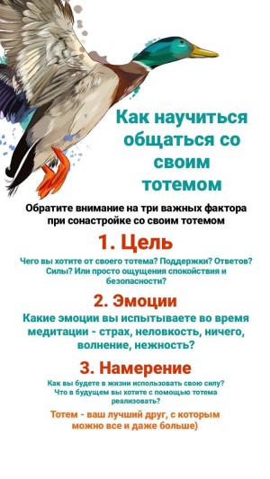 619e8e60a2846b00060e0790.jpg