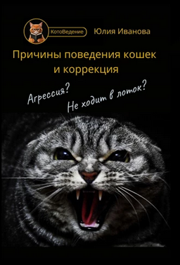 62345 (2).png