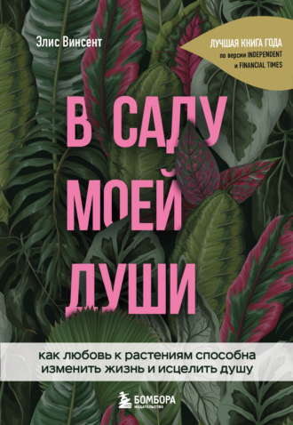 70508545.jpg
