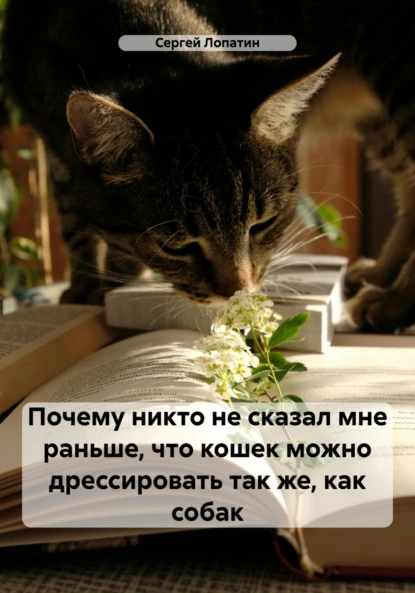 70992040.png