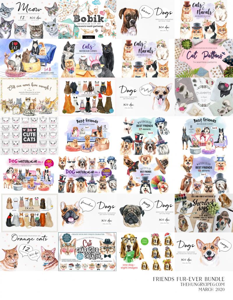 800_3524246_kybxnj3kroucpbd6hcsu88bbpmnujmi8qm5qs2p3_friends-furever-bundle.jpg