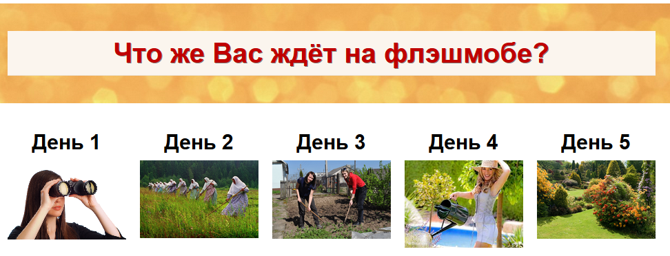 8a.PNG