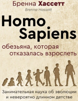 айдио.png