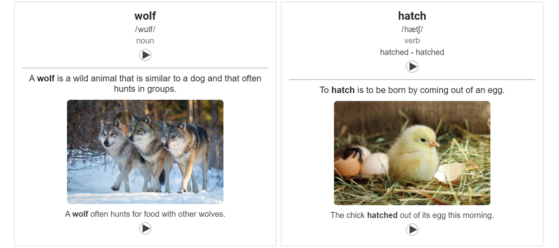 Anki cards.png