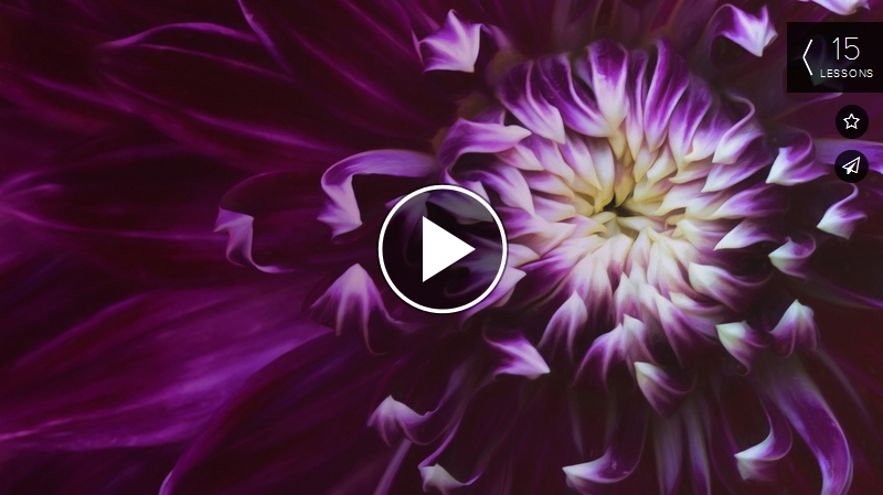 artflower.jpg
