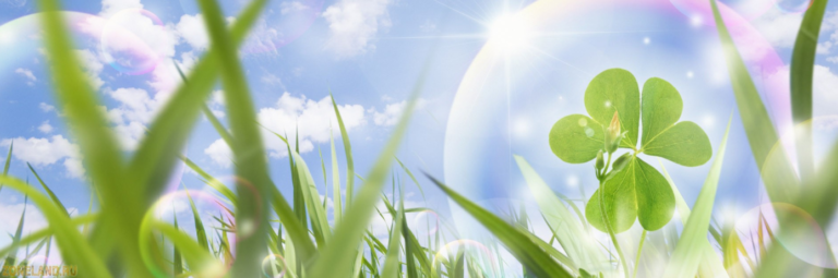 bakhtina_chisto-1-768x255.png