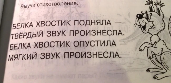 Белка.jpg