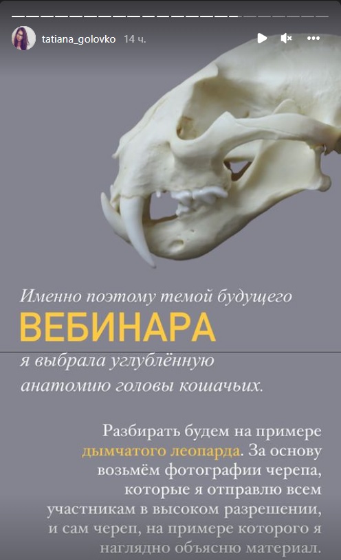 Безымянный223.jpg