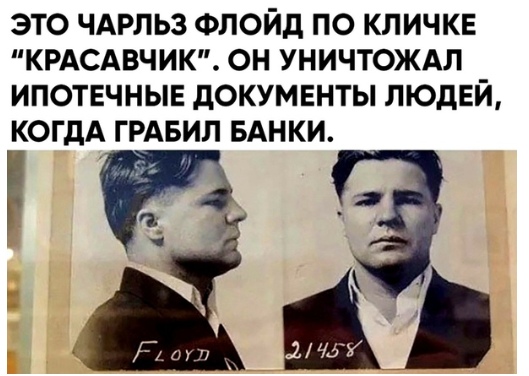 bLF9vMAGCjE.jpg