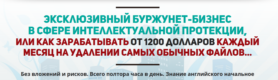 буржунет-бизнес.png