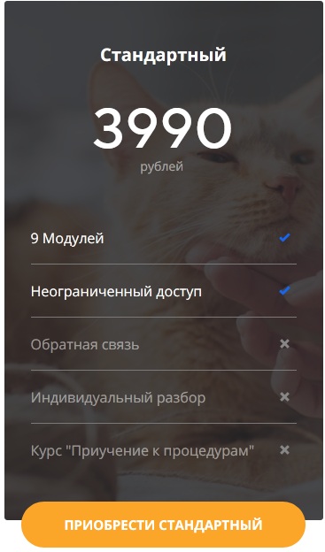 cat.jpg