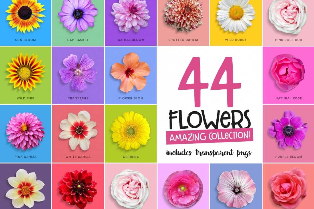 clipped-flower-graphics-.jpg