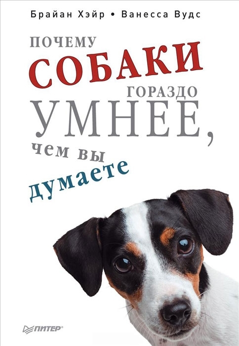 cover.jpeg