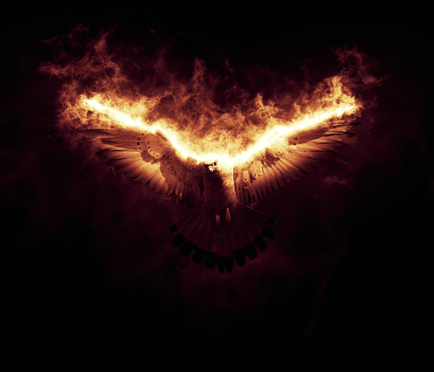 effsol2.gif