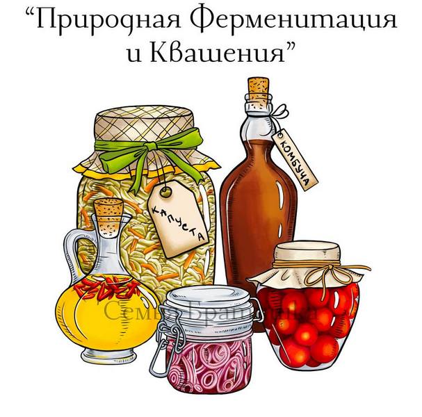 ферментация.jpg