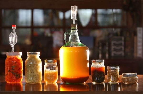 fermentation-1-600x397.jpg