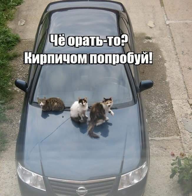 FI093oCkk23QxmukMvy8v-x8-BDnJMXMwTiy05L5gWx6d1MU8Xp2a1Xq_Cflay9EBwTSPq12NG2scTIOitigZiul.jpg